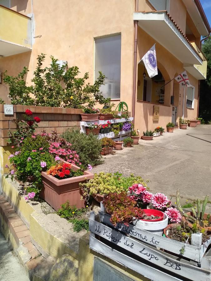 B&B Il Rifugio Del Lupo - E6721 Paringianu Екстериор снимка